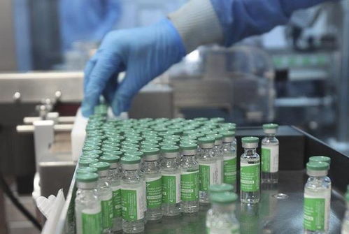 印度血清研究所 世界疫苗生產(chǎn)巨頭的核心技術(shù)困境