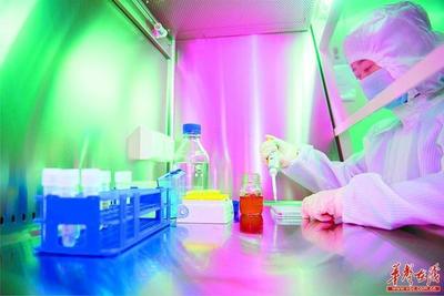 科技創(chuàng)新引領(lǐng)生物制藥研究與生產(chǎn)的新篇章